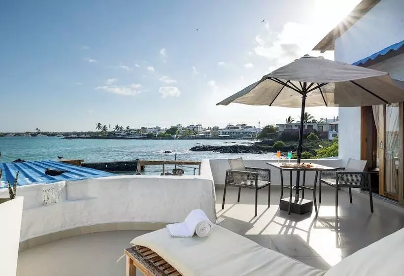 Fotos del hotel Galapagos Habitat By Eco Luxury Group:  94