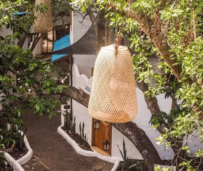 Fotos del hotel Galapagos Habitat By Eco Luxury Group:  109