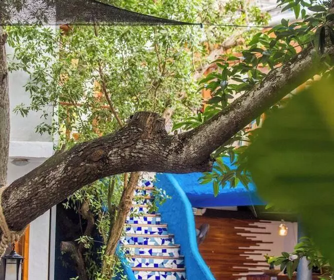 Fotos del hotel Galapagos Habitat By Eco Luxury Group:  118