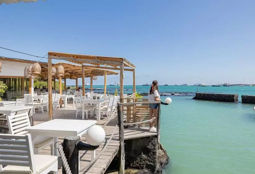 Fotos del hotel Galapagos Habitat By Eco Luxury Group:  115