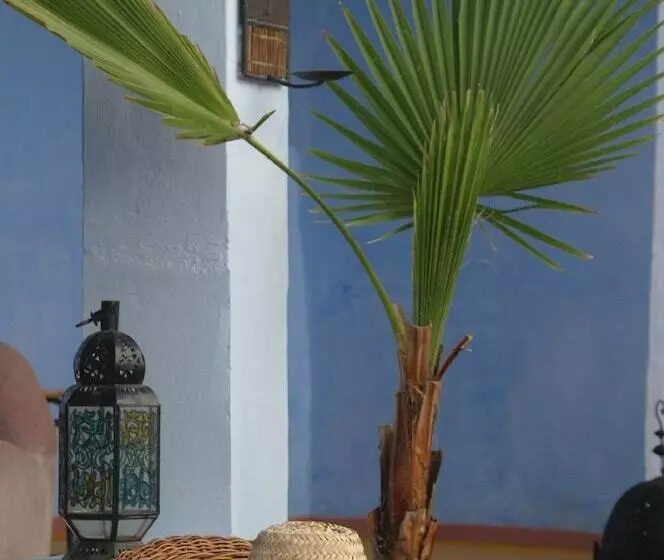 Fotos del hotel Dar Omar Khayam:  23