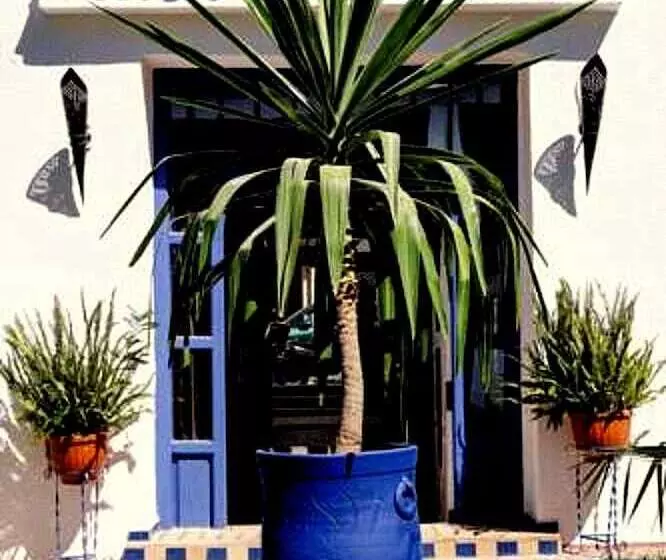 Fotos del hotel Dar Omar Khayam:  10