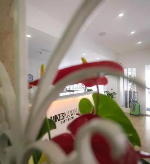 Fotos del hotel Mikes Kanarium City:  5