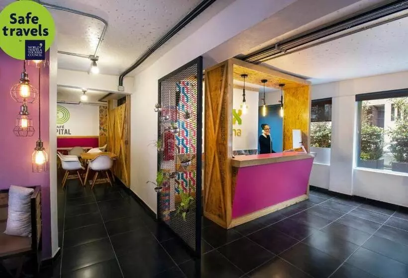 Fotos del hotel Mx Roma:  13