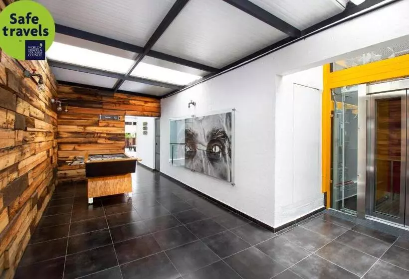 Fotos del hotel Mx Roma:  14