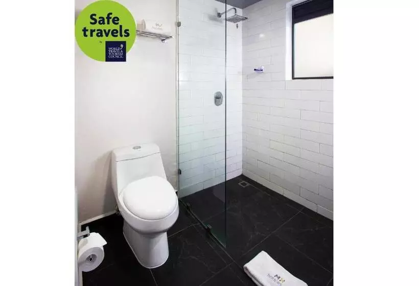 Fotos del hotel Mx Roma:  9