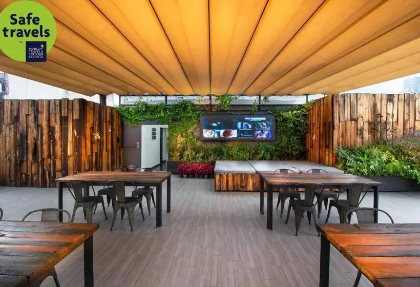 Fotos del hotel Mx Roma:  16