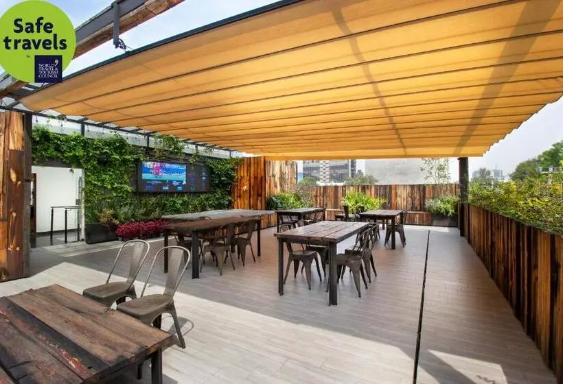 Fotos del hotel Mx Roma:  8