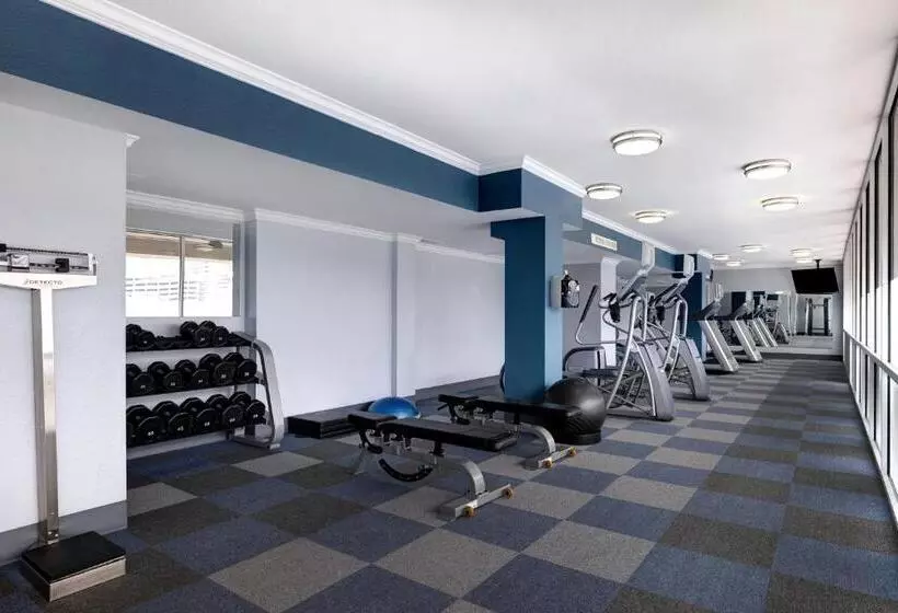 Fotos del hotel Holiday Inn Houston Downtown, An Ihg:  4