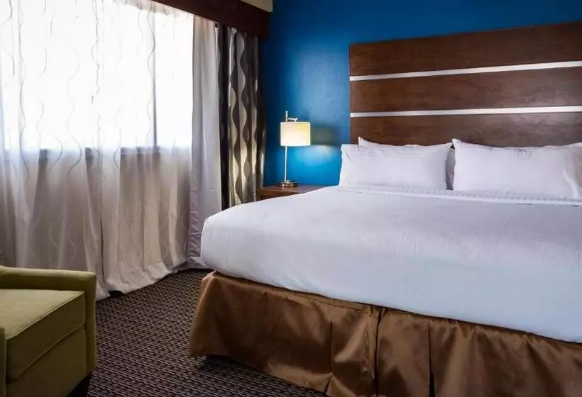 Fotos del hotel Holiday Inn Houston Downtown, An Ihg:  20