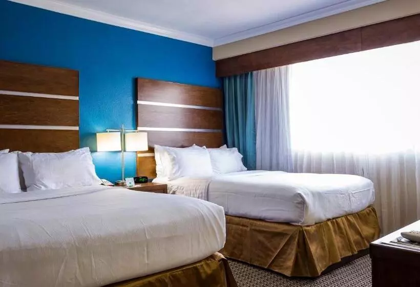 Fotos del hotel Holiday Inn Houston Downtown, An Ihg:  11