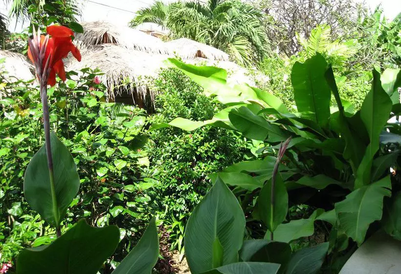 Fotos del hotel The Villa Paradiso:  18