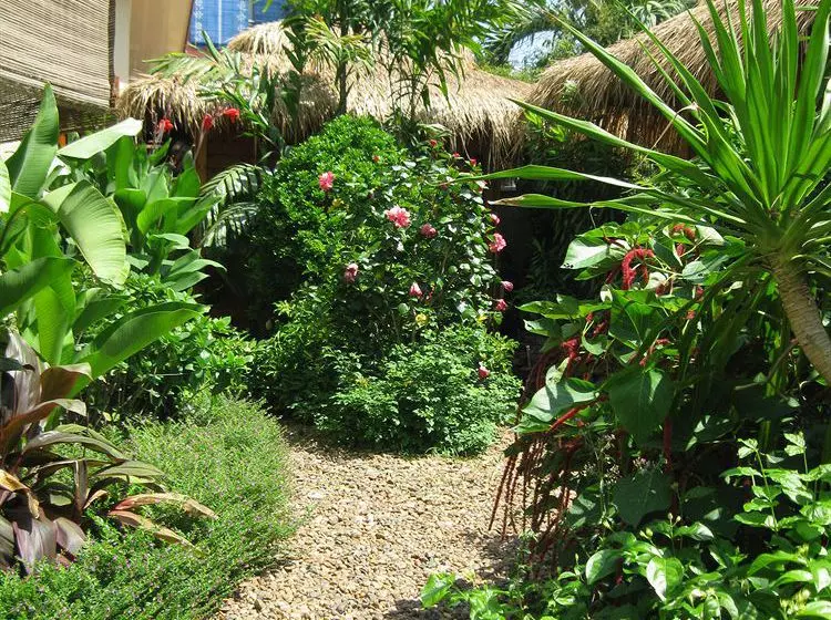 Fotos del hotel The Villa Paradiso:  6