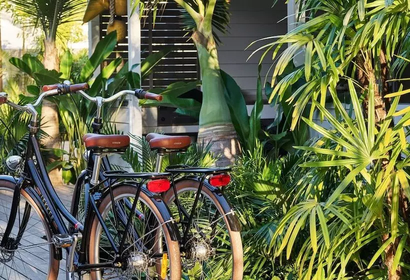 Fotos del hotel Atlantic Byron Bay:  7