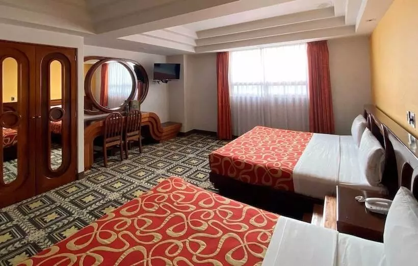 Fotos del hotel Plaza Solis:  16