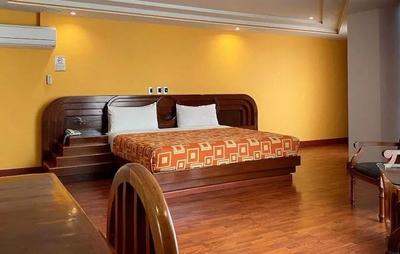 Fotos del hotel Plaza Solis:  14