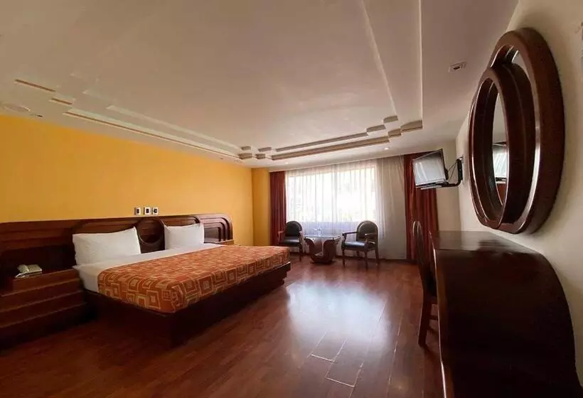 Fotos del hotel Plaza Solis:  15