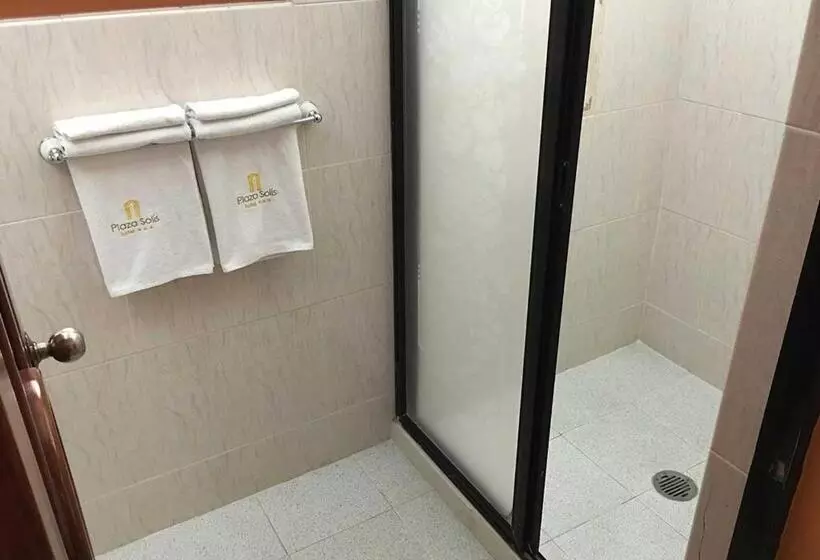 Fotos del hotel Plaza Solis:  7