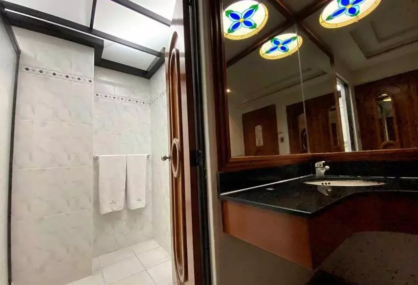 Fotos del hotel Plaza Solis:  13