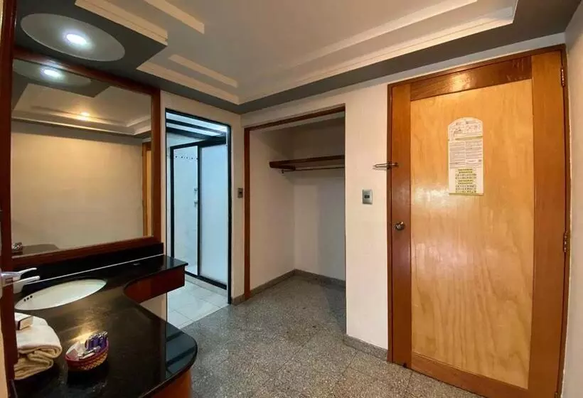 Fotos del hotel Plaza Solis:  10