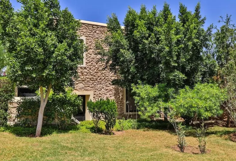 Fotos del hotel Essaouira Lodge:  16