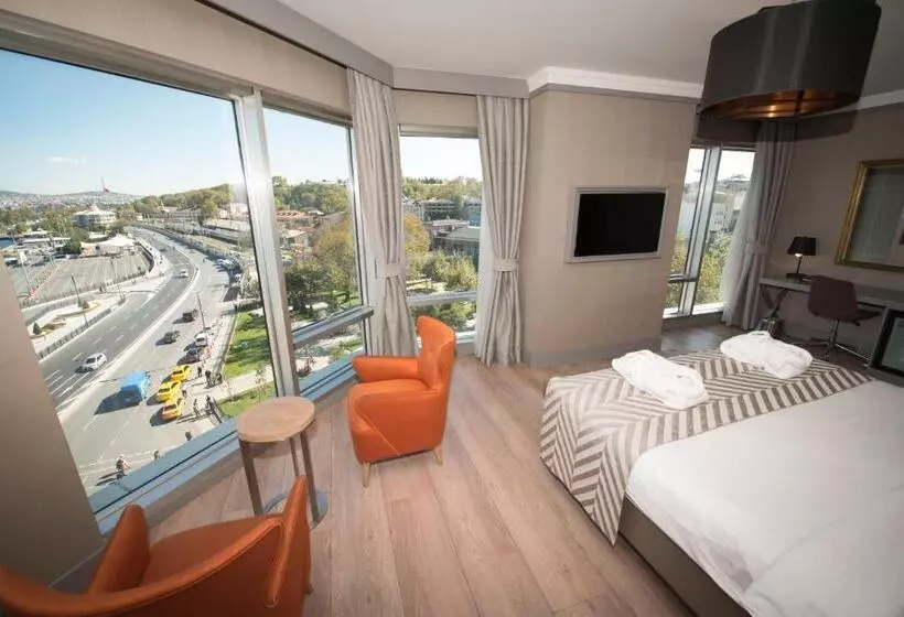 Fotos del hotel Manesol Old City Bosphorus:  15