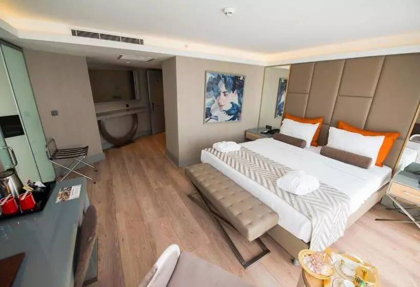 Fotos del hotel Manesol Old City Bosphorus:  2