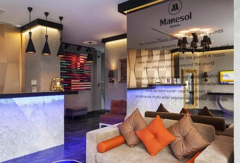 Fotos del hotel Manesol Old City Bosphorus:  3