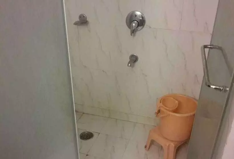 Fotos del hotel Grand Harshal:  4