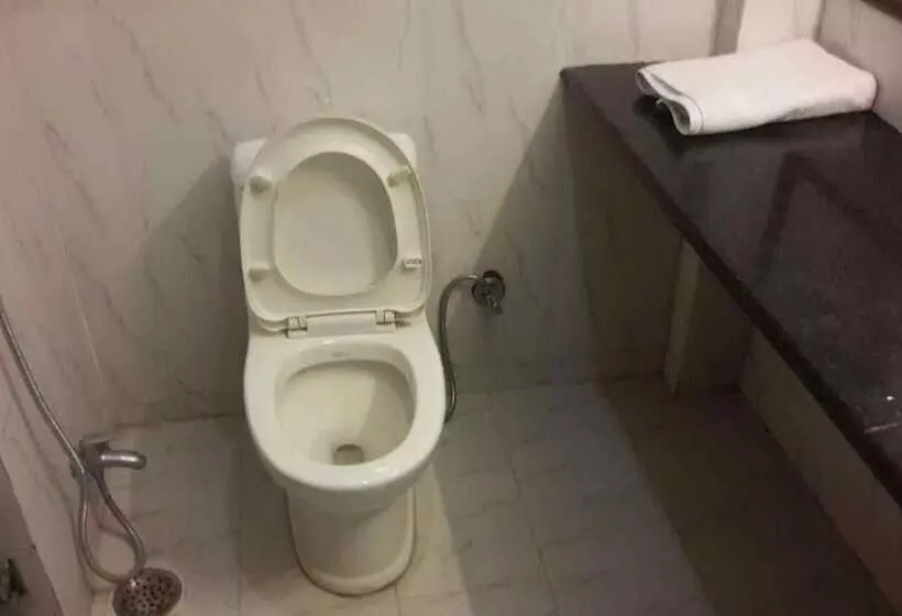 Fotos del hotel Grand Harshal:  9