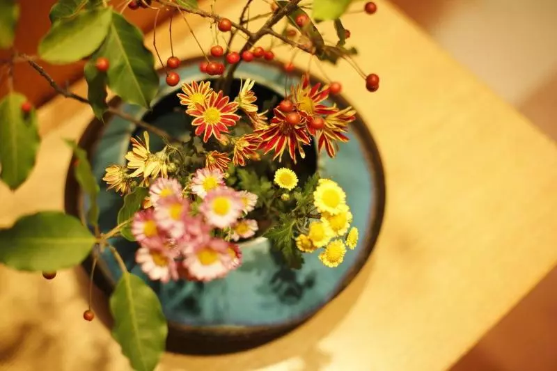 Fotos del hotel Hatori:  18