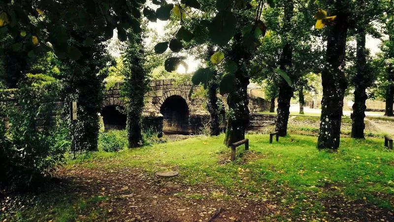 Fotos del hotel Sever Rio:  22