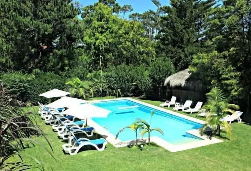 Petit Château  Boutique