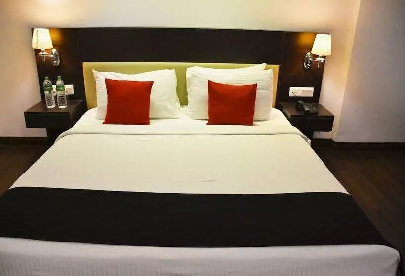 Fotos del hotel Jagrati Ananta Express:  10