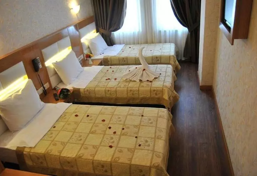 Fotos del hotel Star Park:  10