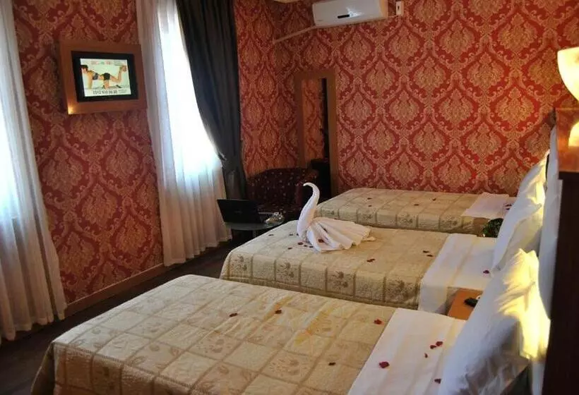 Fotos del hotel Star Park:  17