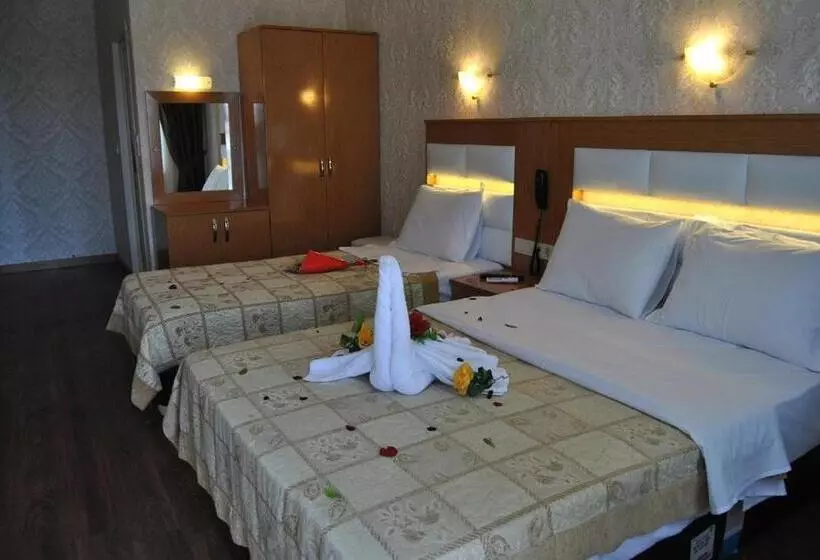 Fotos del hotel Star Park:  7