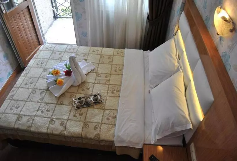 Fotos del hotel Star Park:  20