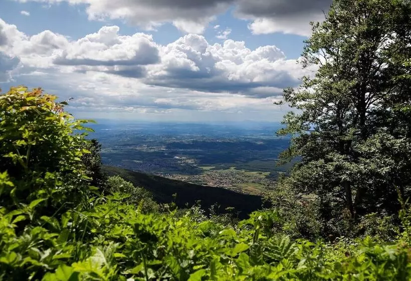 Fotos del hotel Tomislavov Dom:  6