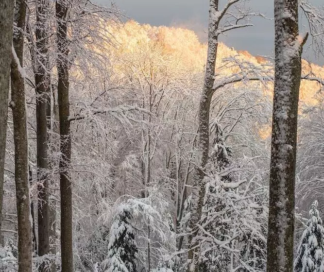 Fotos del hotel Tomislavov Dom:  22