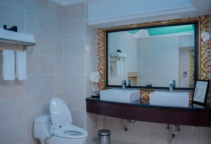 Fotos del hotel Best Western Plus Lusaka Grand:  22