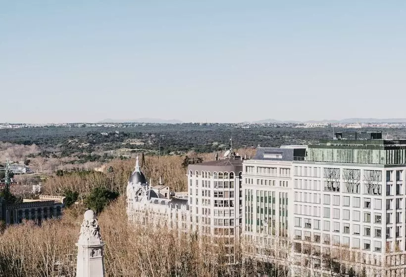 Fotos del hotel Dear Hotel Madrid:  17