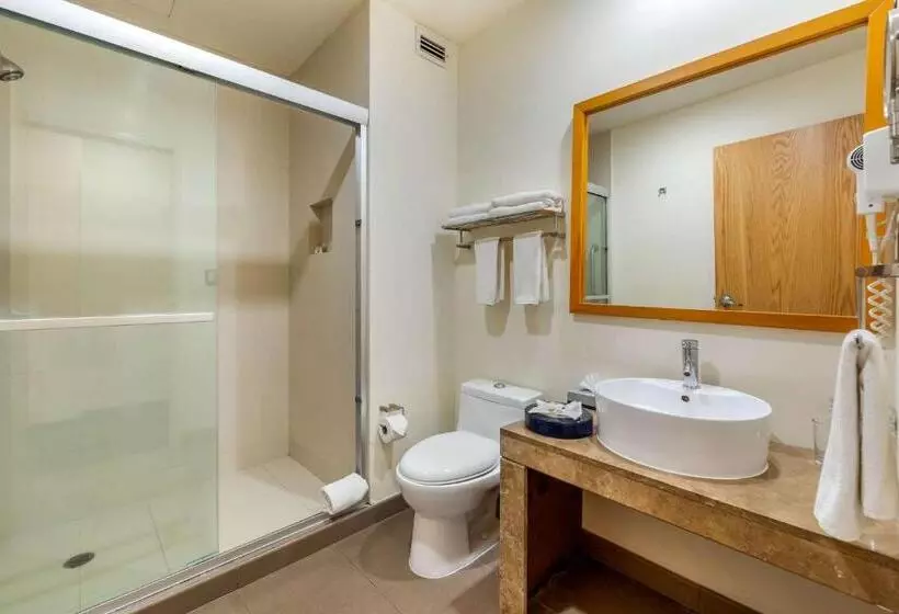 Fotos del hotel Sleep Inn Torreon:  5