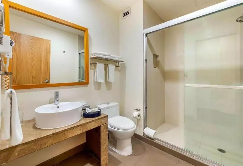 Fotos del hotel Sleep Inn Torreon:  11