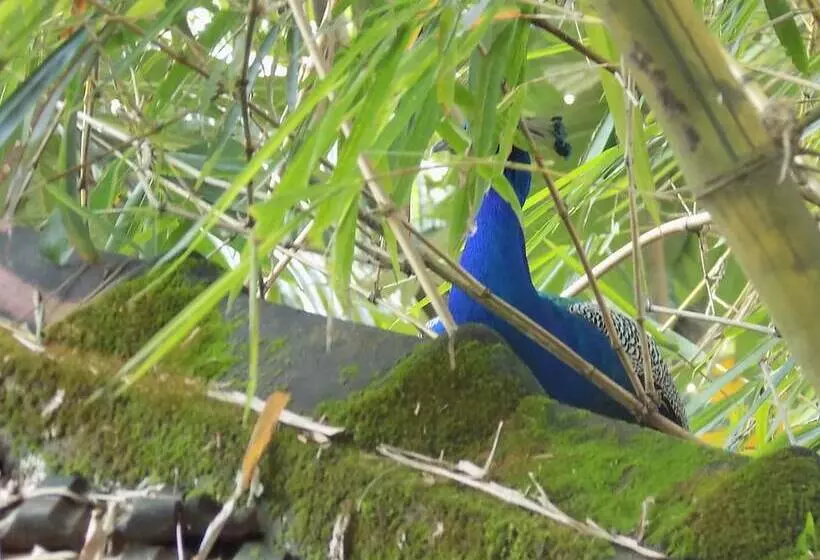 Fotos del hotel Elphinstone Residency:  5