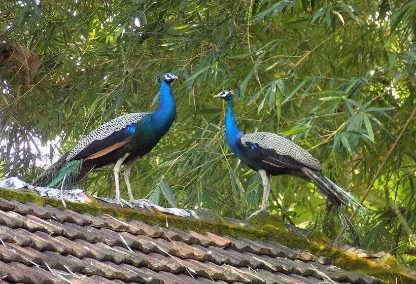 Fotos del hotel Elphinstone Residency:  9