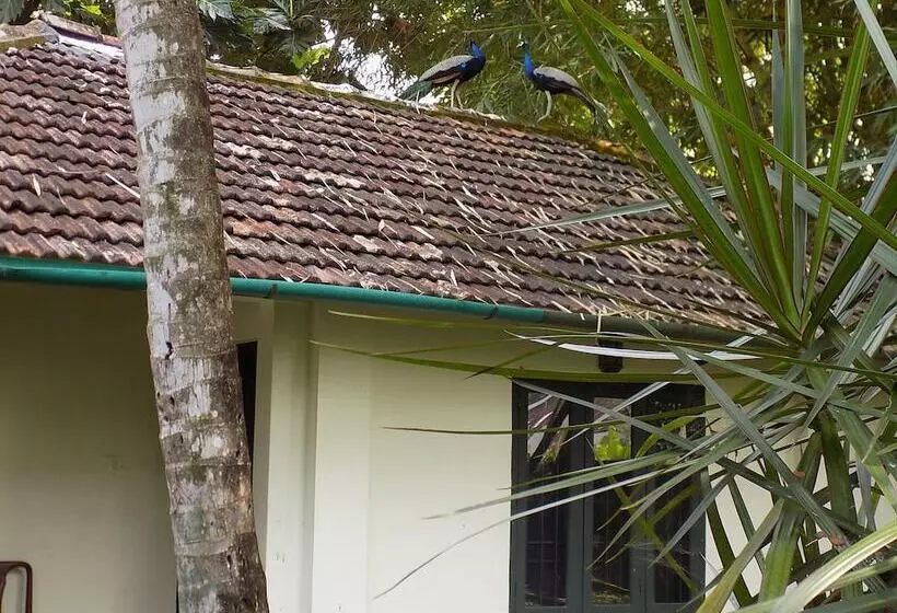 Fotos del hotel Elphinstone Residency:  13