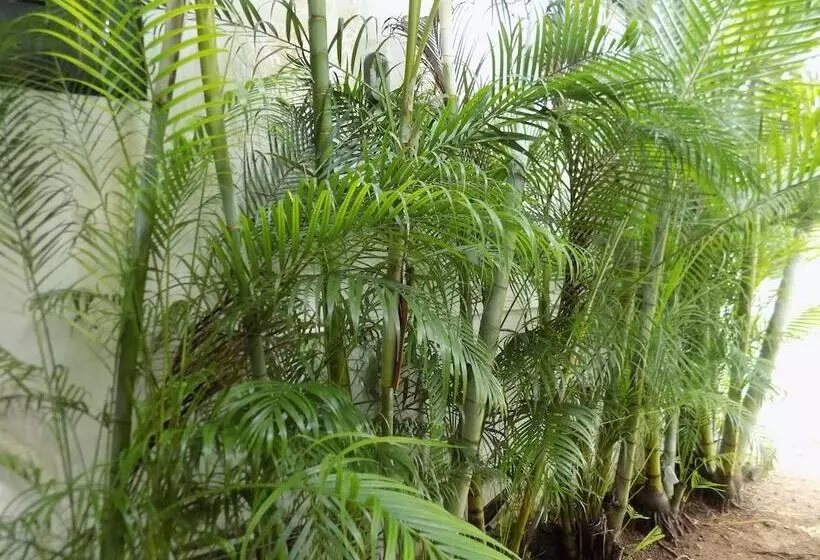 Fotos del hotel Elphinstone Residency:  21