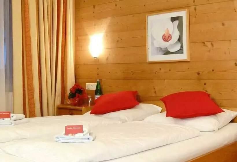 Fotos del hotel First Mountain Zillertal:  21