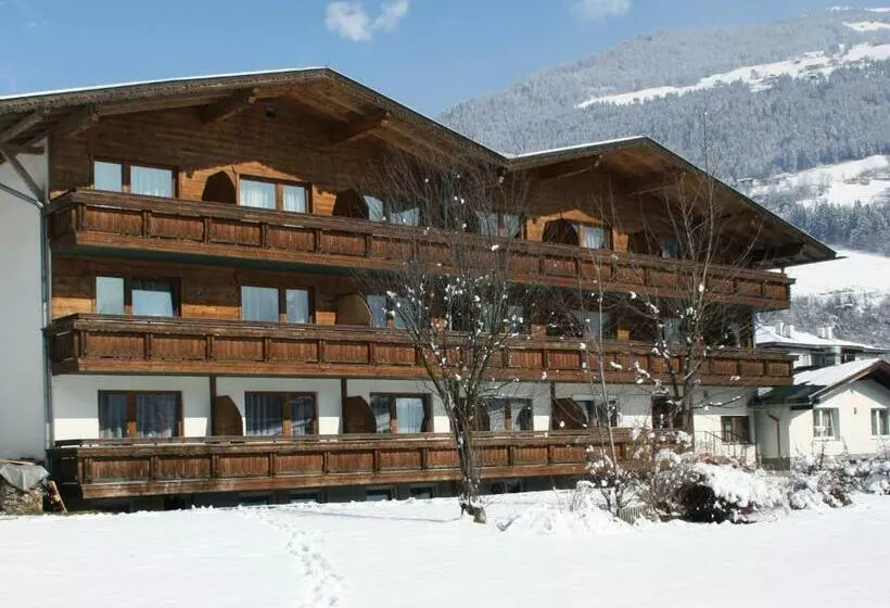 Fotos del hotel First Mountain Zillertal:  8